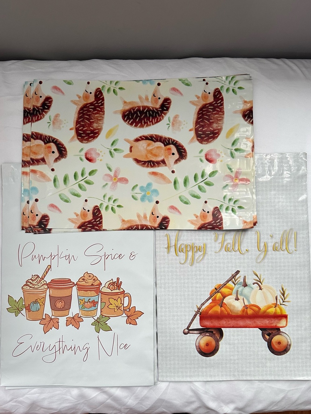 Fall Autumn Poly Mailer Variety Pack 10x13 Pumpkin Spice Happy Fall Hedgehogs - Picture 2 of 14